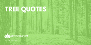 Ostvig Blog Covers 2019 (1)