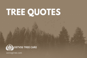 Ostvig Blog Covers 2019 (7)