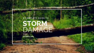 "A Complete Guide to Storm Damage" graphic with a fallen tree trunk hanging over a wooded pathway.
