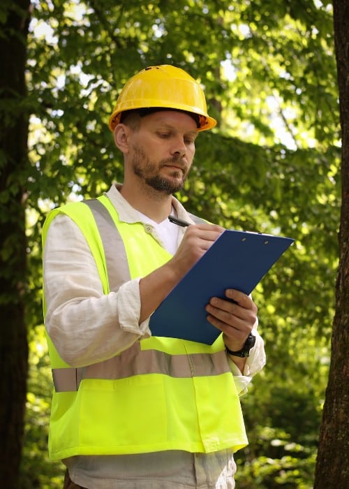Property manager in hard hat and safety vest documenting tree inspection notes.