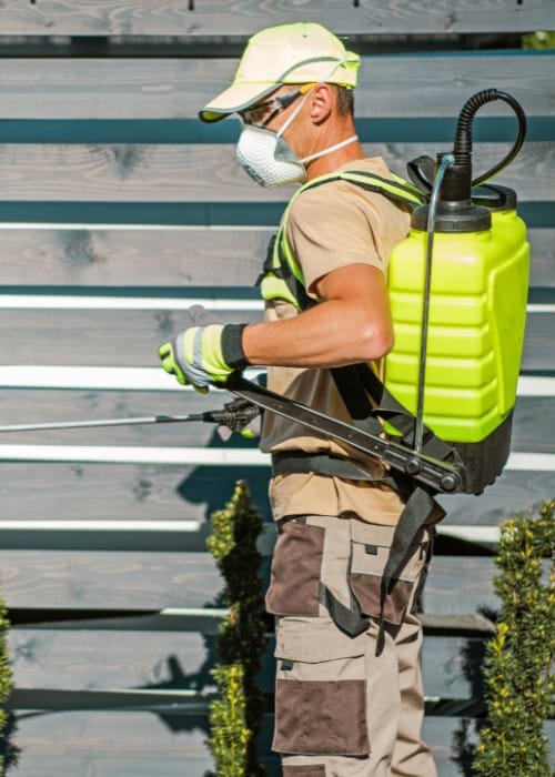 PHC technician applying liquid fertilizer treatment using professional spray equipment.