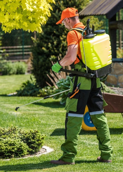 PHC technician applying pest and disease treatment spray to trees and shrubs.