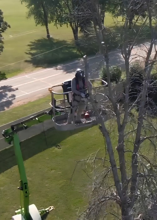 Arborist in elevated boom lift performing tree pruning above residential landscape.