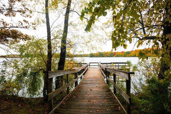 Wooden lakeside dock lined with autumn trees on a commercial waterfront property.