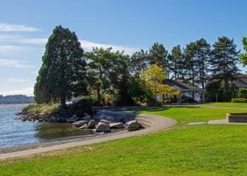 Lakeside commercial property landscape with mature trees and manicured lawn.
