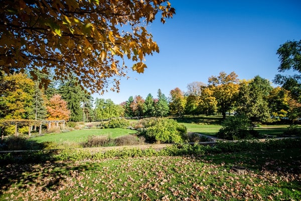 Park landscape with colorful autumn trees and manicured green lawns.