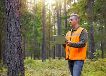 Ostvig arborist performing tree health assessment in forest setting.