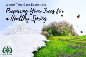 Split image of snowy winter branches transitioning to a blooming spring landscape.