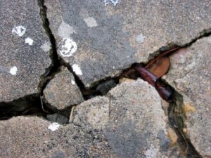 Close-up of deep cracks in a concrete sidewalk with a fallen leaf wedged inside.